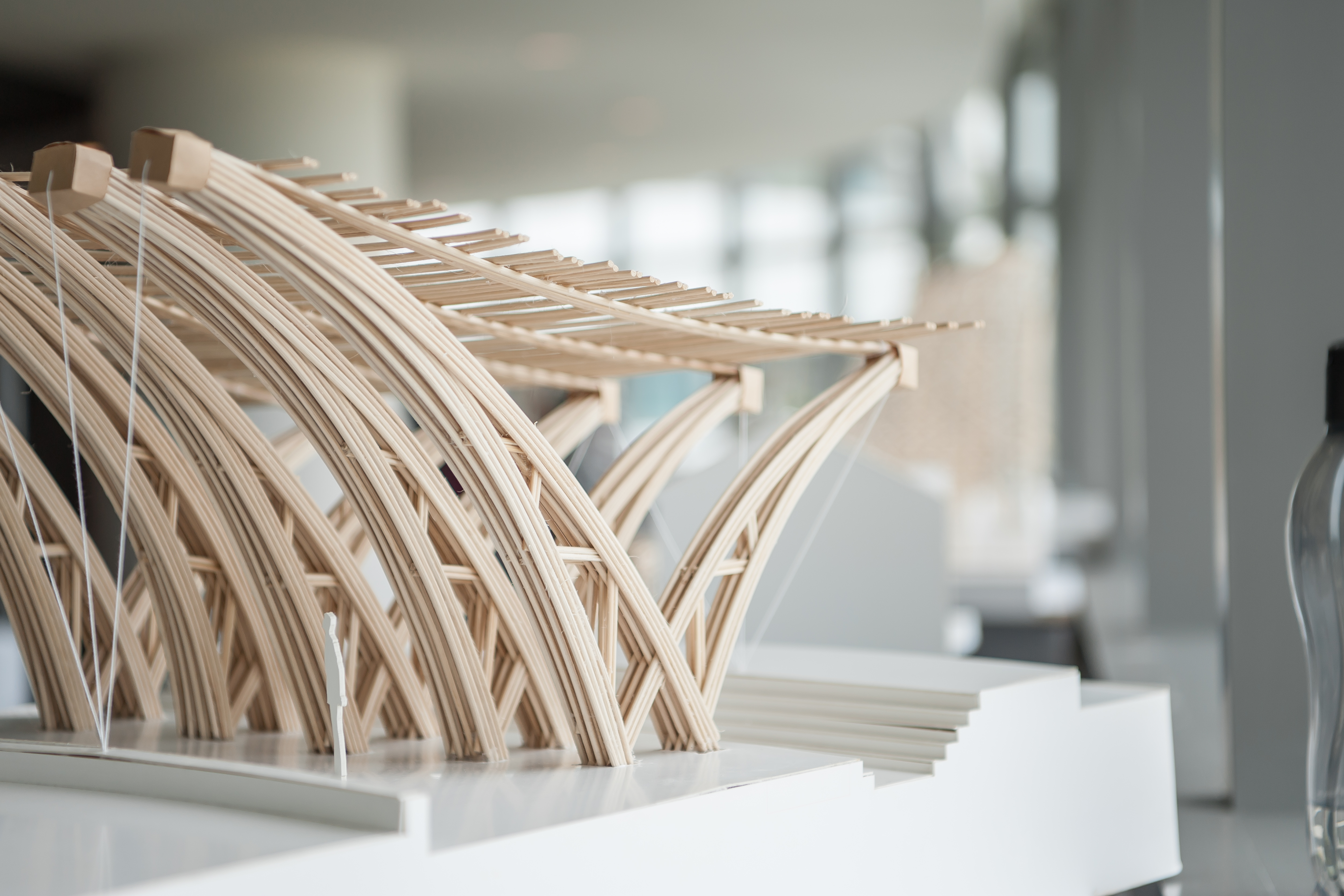 Bamboo in Formation : From Material Research to Architectural